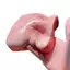 Bánh Mì Nướng Hình Bánh Mì Bóp Đồ Chơi Siêu Mềm Phát Triển Chậm Squishies Đồ Chơi Chống Căng Thẳng Cho Trẻ Em Quà Tặng sonlekvn