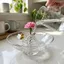 Bình thủy tinh nhỏ COCODECOVED, Bình hoa thủy canh truyền cảm hứng Zen trong suốt, Bình cắm hoa hình con ong tối giản độc đáo sáng tạo Bàn làm việc văn phòng
