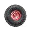 Bộ 4 Lốp Và Bánh Xe 57mm 1.0 Inch Cho TRX4M Trục SCX24 AX24 FMS FCX24 FCX18 1 / 18 1 / 24 RC Crawler, Tất Cả Các Loại Lốp Cao Su Địa Hình Có Vành Nhựa Sẵn Sàng