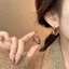 Màu Cà Phê Pha Lê Vòng Bông Tai Nữ Tính Khí Nhẹ Bông Tai Sang Trọng 2024 Phong Cách Mới Influencer Bán Chạy Bông Tai Cao Cấp Nữ 2026-6-1