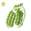 29 bánh Xe Con lăn thư giãn cơ bắp Kẹp chân tròn Hướng dẫn sử dụng thư giãn cơ bắp