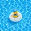 Set Charm Vịt Vàng Phao Bơi Cứng Kawaii Cute Charm Resin Trang Trí Dép Mùa Hè 🐤💜🌊☀️ Phao Vịt Cứng Mùa Hè