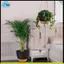 Chậu trồng cây treo lớn, 10 Inch cho cây trong nhà / ngoài trời, Móc treo chậu cây tự tưới cây