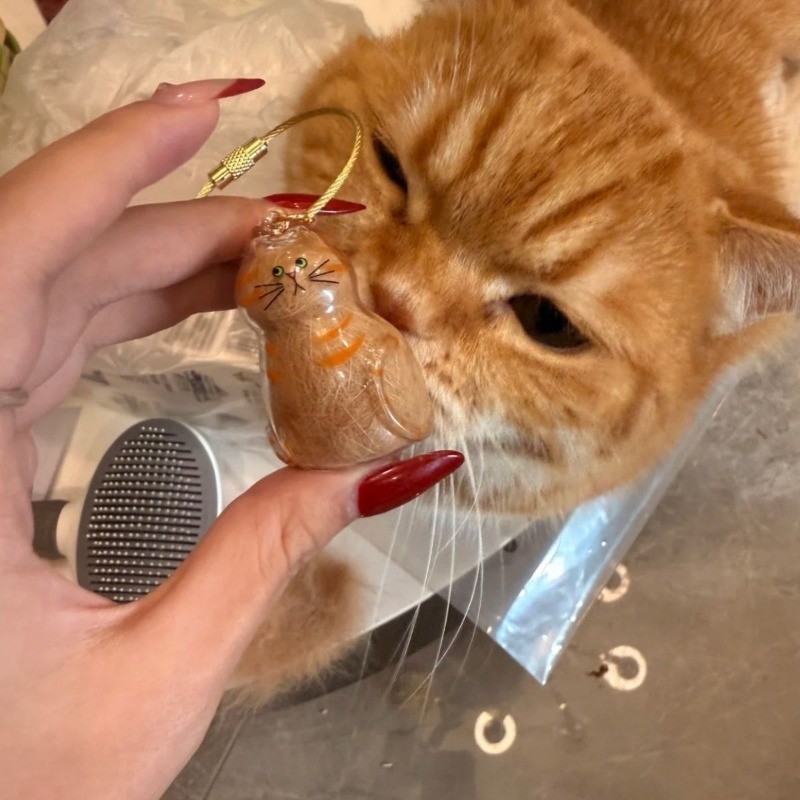 Móc khóa mèo cam trong suốt, móc treo túi thú cưng dễ thương, phụ kiện phong cách ngọt ngào