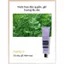 Kem dưỡng da tay AESOP Eleos Aromatique dưỡng ẩm da tay 75 ml. Công thức dịu nhẹ, hương thơm tự nhiên