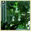 B & N 2 / 3 / 4 Chai nhân giống cây treo tường Mini Bình treo bình tròn để trang trí nhà cửa Chai gốc cây thủy canh.