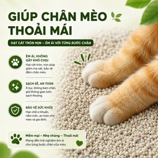 [Combo 2 Bao 7kg] Cát Nhật Đen Cho Mèo 9L 3.5kg Vón Cục Siêu Nhanh Khử Mùi Ít Bụi - Wanna Pet SG