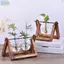 Bình trồng cây thủy canh JVSUB Trang trí nội thất Khung gỗ cây cảnh