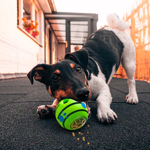 Tương tác Dog Treat Dispenser Ball 2 Trong 1 Squeaky Treat Pha Chế Vui Vẻ Ngoài Trời Sân Sau Tập Thể Dục & Fetch