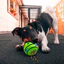 Tương tác Dog Treat Dispenser Ball 2 Trong 1 Squeaky Treat Pha Chế Vui Vẻ Ngoài Trời Sân Sau Tập Thể Dục & Fetch