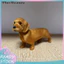 < Pluscloth > Đồ chơi Dachshund sang trọng cho trẻ em – Búp bê thực tế dành cho trẻ mới biết đi Bé trai Bé gái Giáo dục Gấu trúc mềm Plushie Quà tặng sinh nhật ngày lễ hoàn hảo cho trẻ em Đông Nam Á Dachshund Sang trọng