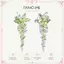 FANCIME “Wisteria Whisper ” Thanh hoa Peridot Bông tai bạc