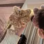 Dễ Thương Sang Trọng Mèo Con Dây Buộc Tóc Hoạt Hình Ngọt Ngào Đuôi Mèo Scrunchies Dây Tóc Mặt Sau Đầu Băng Đô Phụ Kiện Tóc saixit2vn
