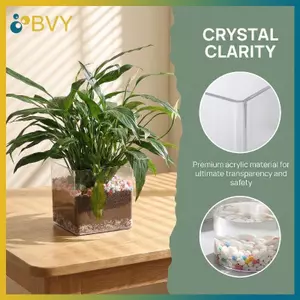 Chậu trồng cây Acrylic trong suốt BVY cho cây con và hoa Hộp đựng cây ươm trong suốt cho văn phòng tại nhà Sử dụng ngoài trời trong nhà.
