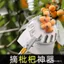 Dụng cụ hái trái cây tiện dụng Dụng cụ làm dày bằng thép không gỉ Cần sao chép siêu dài Thanh hái trái cây Cần sao chép trái cây Chọn trái cây