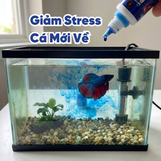 Xanh Methylene - Dung Dịch Chuyên Xử Lý Các Vấn Đề Ngoài Da Cho Cá Cảnh - Sát Khuẩn Giảm Stress