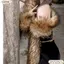 CPINCP Lông Giả Khăn Dài, Dày Lông Tơ Dự Tiệc Sang Trọng Quấn Khăn Choàng, Vintage Ngoài Trời 180cm Trang Trí Lông Cổ Nữ Ấm Hơn Giảm Thanh Dành Cho Nữ