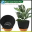 Chậu trồng cây treo lớn, 10 Inch cho cây trong nhà / ngoài trời, Móc treo chậu cây tự tưới cây
