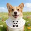 Túi Tròn Nhỏ Vừa Lớn Chó Samoyed Vàng Retriever Yếm Hoạt Hình Dễ Thương Nước Bọt Khăn Khăn Khăn