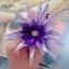 GCDHome 400 Chiếc Mini Hoa Stamen Ngọc Trai Nhân Tạo Pistil Đôi Đầu DIY Hoa Thủ Công Cho Đám Cưới Trang Trí Kim Chỉ Thêu Sò HOT