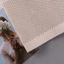 Quần áo định hình nữ VN, nâng ngực bụng, thắt lưng tập Yoga, đi biển, một cỡ.