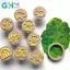 GHX 12 Bộ tem đất sét theo chủ đề động vật cho sáp đất sét mềm và nhựa Epoxy Bộ dụng cụ thủ công DIY đa năng VN