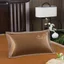 Gối kiều mạch lụa băng mùa hè cho bé Mẫu giáo Gối mát NQ25