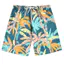 2026 Mới Cây Dừa Họa Tiết 3D In Unisex Nhanh Khô Đi Biển Quần Short