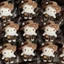 YT4 Sanrio Hello Kitty Plushie Mũ Rơm Da Báo In Sang Trọng Búp Bê Móc Khóa Túi Quyến Rũ