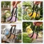 QEARY Vẹt Vest Carrier, Có Thể Điều Chỉnh Nhẹ Ngoài Trời Vẹt Dây, An Toàn Mềm Mại Chống Thoát Thoải Mái Di Động Ba Lô Huấn Luyện
