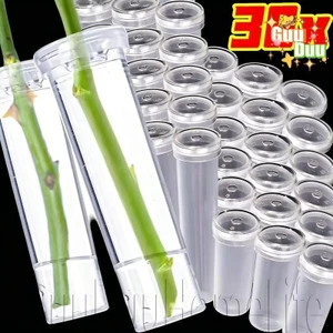 Ống tươi hoa trong suốt - Chai chèn cắt thân - Ống nước bảo quản hoa - Lọ đựng nước hoa - Hộp đựng cây trồng / Miễn phí vận chuyển