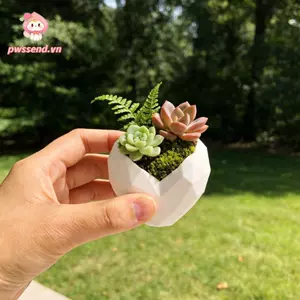 Chậu hoa tình yêu PWSEND, Đồ dùng làm vườn Chậu hoa Mini, Hình trái tim Dung tích nhỏ Hộp đựng cây sáng tạo Trang trí trong nhà