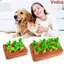 VVDZA Kéo Lên Cà Rốt Rau Lượn Thảm Kéo Củ Cải Vườn Đồ Chơi Giáo Dục Trẻ Em