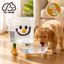 Bình Nước Tự Động Cho Chó Mèo 5L - Dễ Dàng Vệ Sinh, Cung Cấp Nước Sạch Liên Tục 24/7