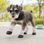 QEARY 4 Giày Lưới Cho Chó, Dây Đeo Có Thể Điều Chỉnh Chống Mài Mòn Chống Trơn Trượt Cho Chó, Đế Mềm Thoải Mái Chống Trơn Trượt Thoáng Khí Cho Chó
