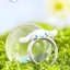 < Quế Chó > Nhẫn Chó Lớn Sanrio Dễ Thương Nhẫn Hoạt Hình Hai Chiều Thời Trang Niche Chỉ Số Ngón Tay Trang Trí