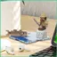 Dành cho Minecraft Khối từ tính Đồ chơi lắp ráp từ tính Mô hình cảnh trò chơi Khối xây dựng giáo dục Tăng cường sonlekvn