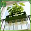SWEET Green Onion Planter Hydroponic Growing Kitpact Hệ thống làm vườn tại nhà cho ban công nhà bếp Dễ dàng trồng rau n
