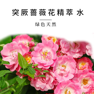 Top Base Damascus Rose Hydrosol Lotion Gentle Hydrating Toner Hydrosol ADGR