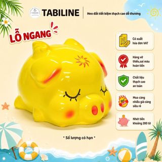 Heo đất ống tiết kiệm tiền lỗ ngang cánh tiên thiền thần cute đáng yêu LD50 - TABILINE