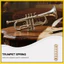 3 Chiếc Woodwind Nhạc Cụ Phần Đồng Lò Xo Lò Xo Trumpet Pickup Để Sửa Chữa khxinggao