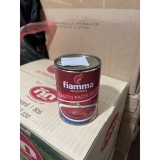 Cà chua xay nhuyễn cô đặc Paste Fiamma 400g - FED