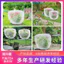 Dây rút thực vật Vỏ côn trùng cây trái cây Vỏ côn trùng 60 lưới dày ánh sáng trong suốt Vỏ côn trùng