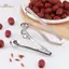 HL Thép không gỉ Cherry Pitter Qui Pitting Thích hợp cho gia đình và ngoài trời Sử dụng LMWU