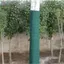 Bọc bảo vệ cây HL để bảo vệ đông lạnh mùa đông- Vỏ cây thoáng khí Bảo vệ khỏi động vật hươu, cho cây bụi Cây non LMWU