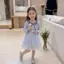 Bé gái (90-150) Bạch Tuyết / Elsa / Kt / Suit Cardigan + Váy biểu diễn Váy gạc