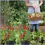 Lồng Cà Chua Cao Dọc Hỗ Trợ Trellis Lồng Cà Chua 3 Mảnh Cho Giường Lớn Cho Trang Trại Sân Vườn Trong Nhà Ngoài Trời mueadsyvn