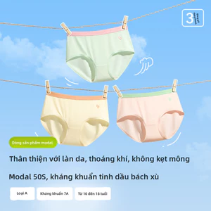 Quần Lót Giữa Eo, Sử Dụng Vải Modal Thoáng Khí, Thích Hợp Cho Bé Gái Lớn Lên.