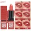 HFSHY BSIMONE Velvet Matte Lip Gloss - Trang điểm dưỡng ẩm, chống thấm nước, dưỡng ẩm lâu trôi, dành cho mọi loại da VN