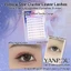 Lông mi dưới đầy sao tự nhiên 5-6mm C Curl Sợi tổng hợp Comfort Fit Trang điểm hàng ngày